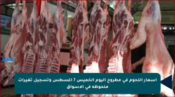 أسعار اللحوم في مطروح اليوم الخميس 7 أغسطس وتسجيل تغيرات ملحوظة في الأسواق